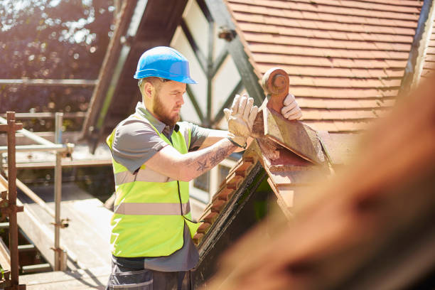 Best Roof Gutter Cleaning  in Cherry Hill, VA